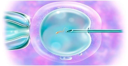 陈主任